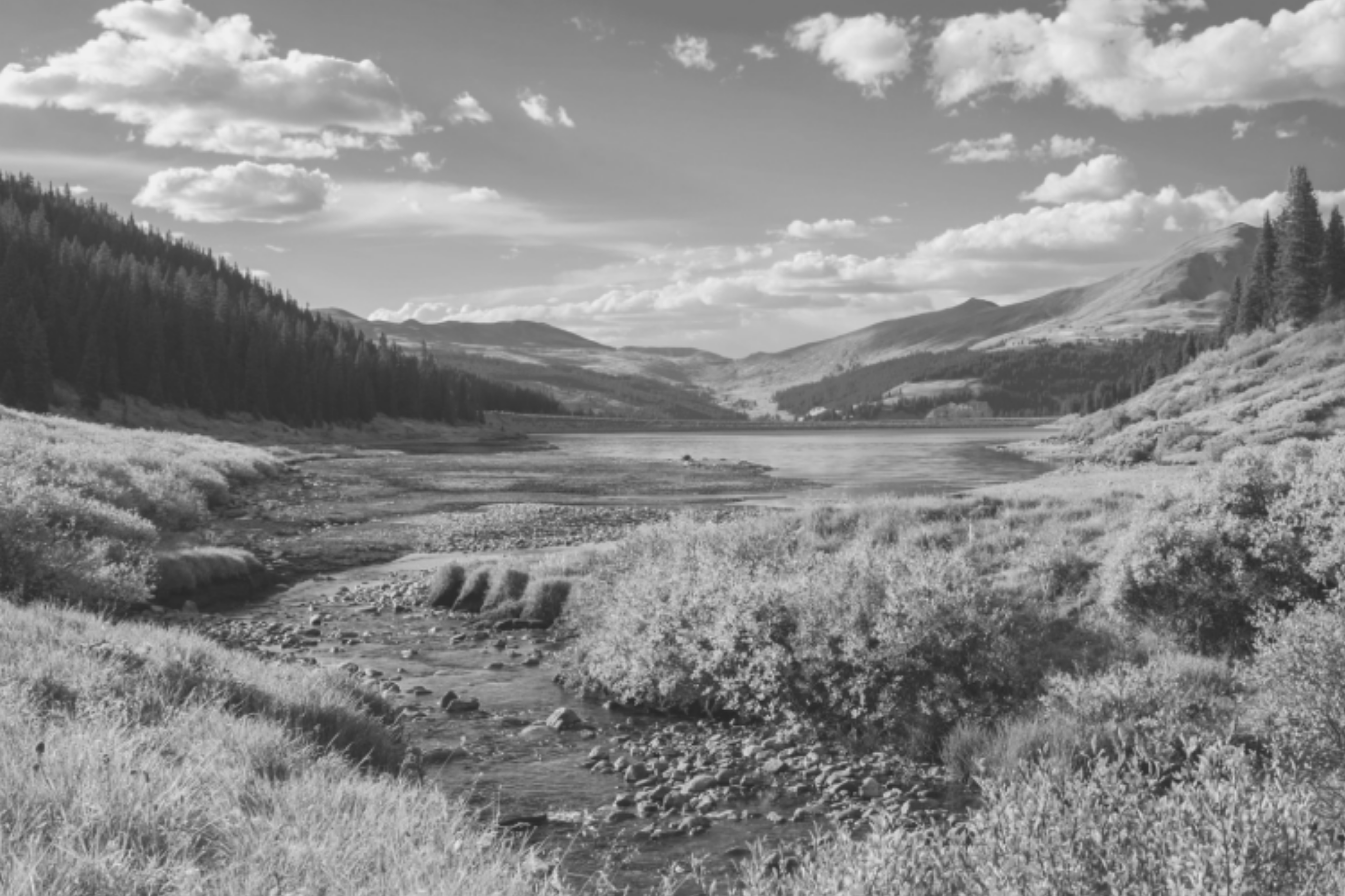 Business Funding Support – February 2021